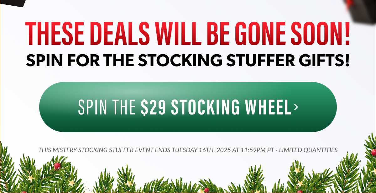 Mystery Stocking Watches