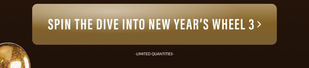 Spin The Dive Into New Year's 3