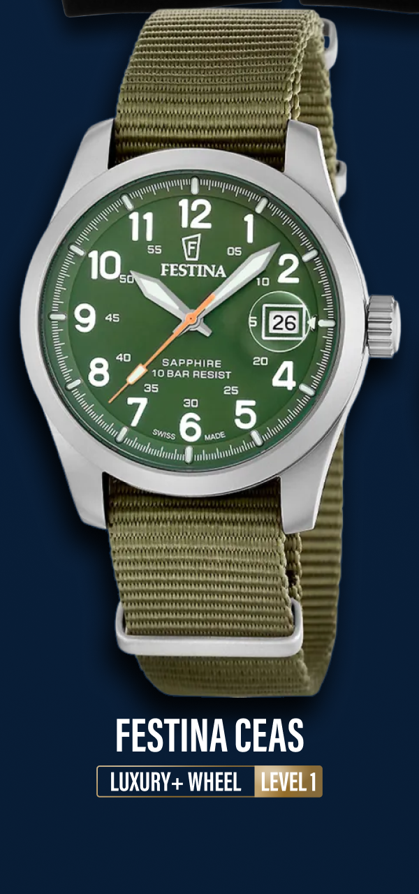 Festina Ceas