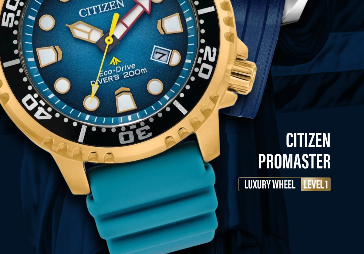 Citizen Promaster