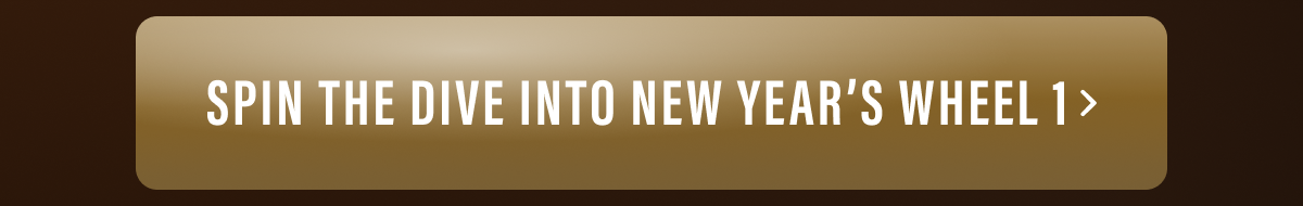 Spin The Dive Into New Year's Wheel 1