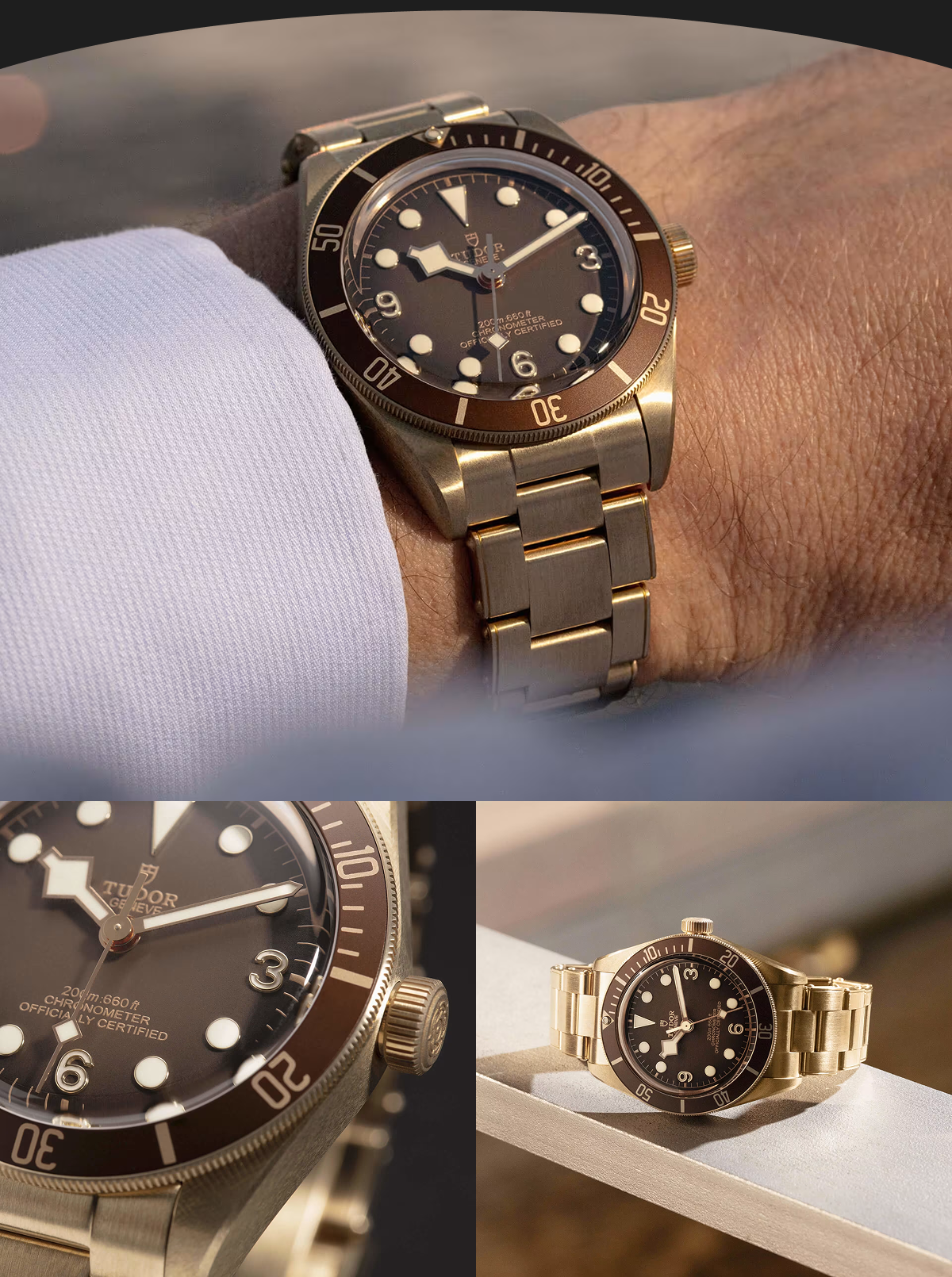 Tudor Watch Images