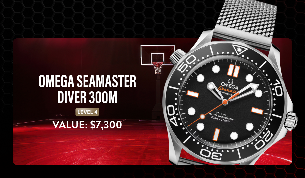 Omega Seamaster Diver 300M